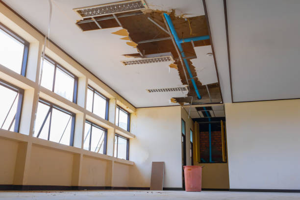 Best Sewage cleanup and water damage restoration  in Pocomoke City, MD