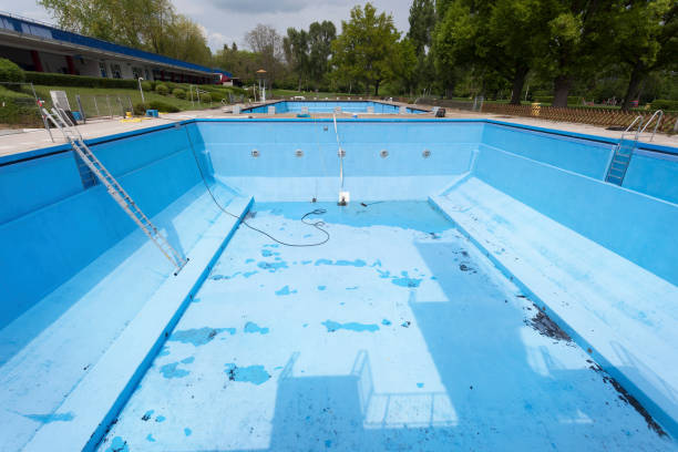 Best Mold removal after water damage  in Pocomoke City, MD