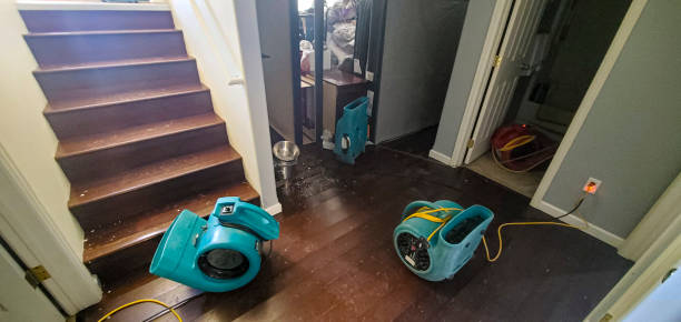 Water damage restoration experts in Pocomoke City, MD