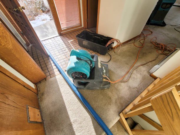 Best Emergency water damage restoration  in Pocomoke City, MD