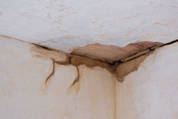Water damage restoration mold remediation in Pocomoke City, MD