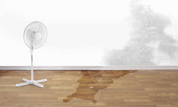 Best Residential water damage restoration  in Pocomoke City, MD