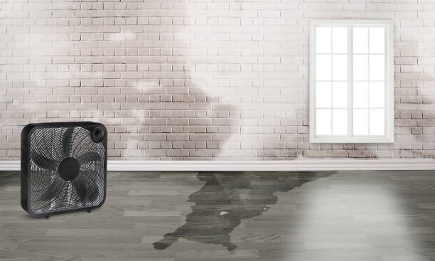 Best Residential water damage restoration  in Pocomoke City, MD