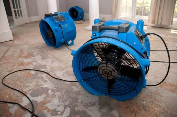 Best Flood restoration services  in Pocomoke City, MD
